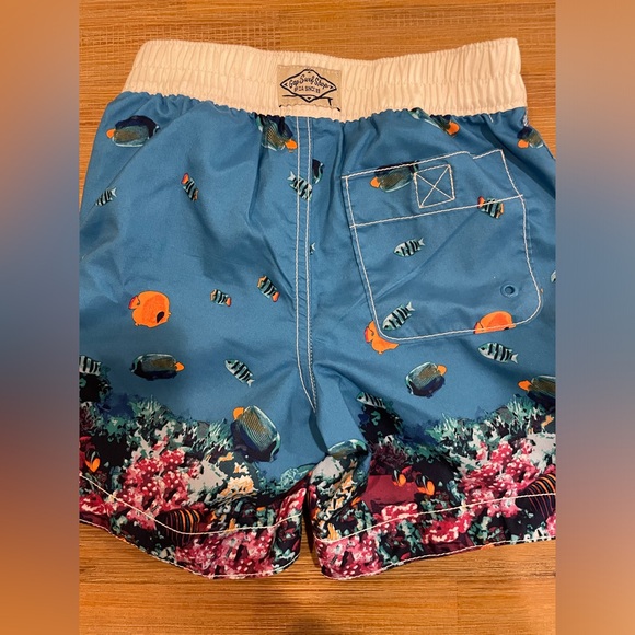 Boys bathing suit - Picture 2 of 4